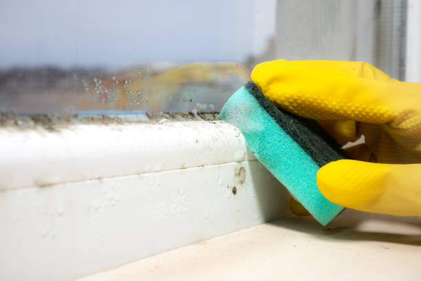 Best Office Mold Removal Services  in Princeton, NJ