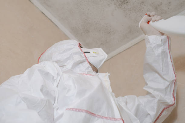 Best Commercial Mold Removal  in Princeton, NJ