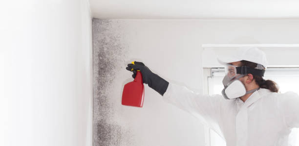 Best Mold Testing  in Princeton, NJ