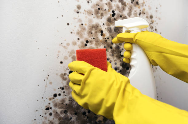 Water Damage Restoration in Princeton, NJ
